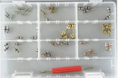 Tsheb Cua Txias Valve Core Combination Set